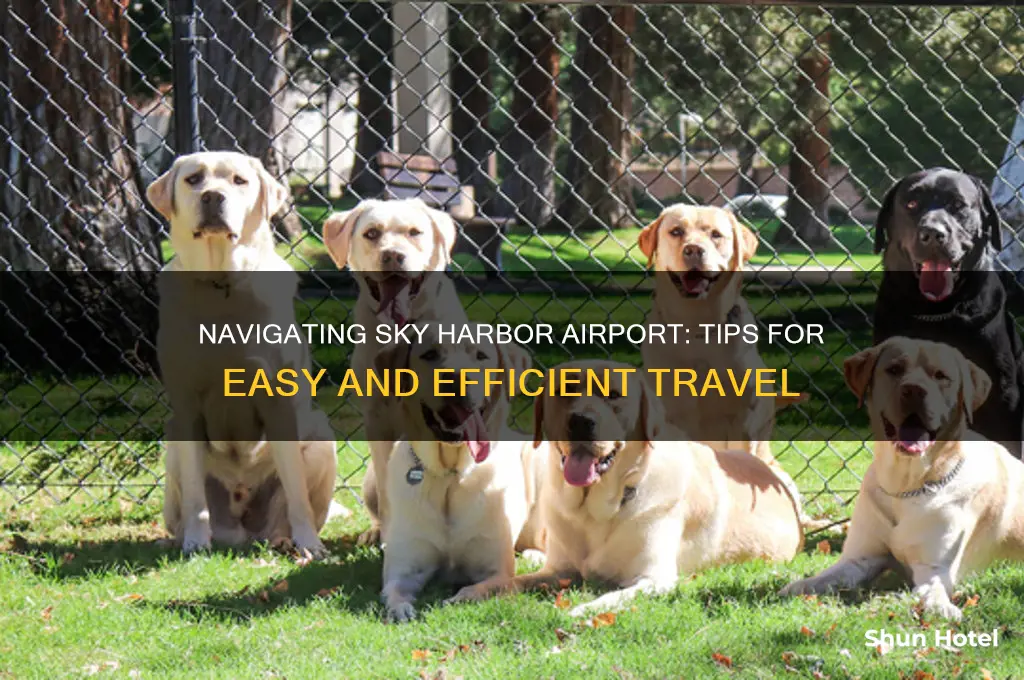 how to get around sky harbor airport