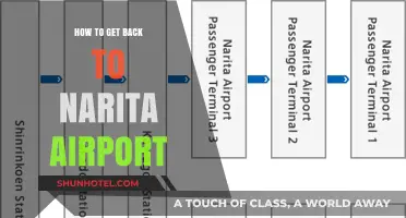Efficient Routes: Navigating Your Way Back to Narita Airport