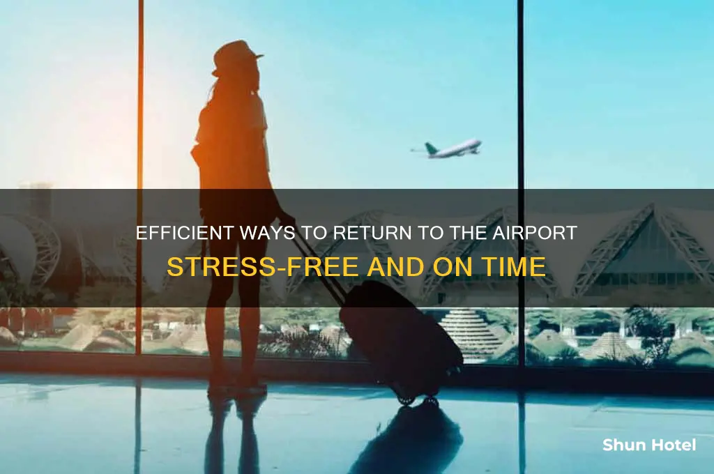 how to get bk to airport