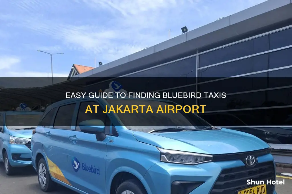 how to get blue bird taxi at jakarta airport