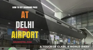 Effortless Boarding Pass Guide for Delhi Airport Travelers