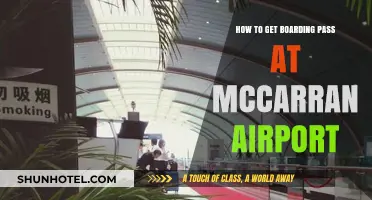 Effortless Boarding Pass Guide for McCarran Airport Travelers