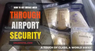 Traveling with Breast Milk: Airport Security Tips for Nursing Moms