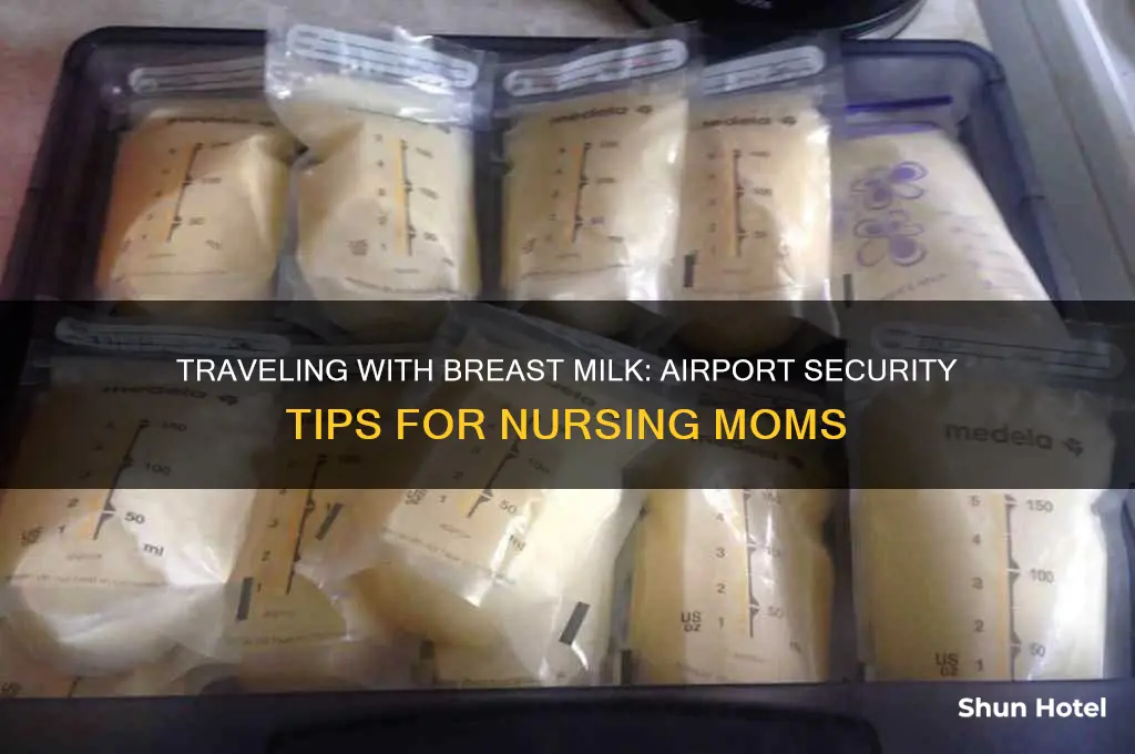 how to get breast milk through airport security