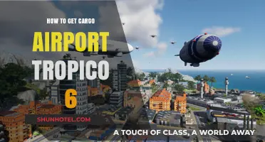 Tropico 6 Cargo Airport Guide: Efficient Setup and Management Tips