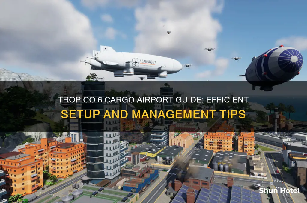 how to get cargo airport tropico 6