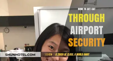 Traveling with Your Cat: Smooth Airport Security Tips and Tricks