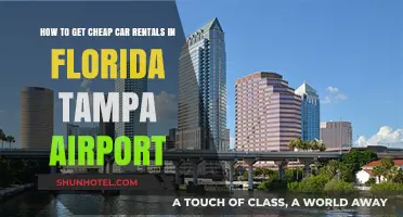 Save Big on Tampa Airport Car Rentals: Top Tips & Tricks