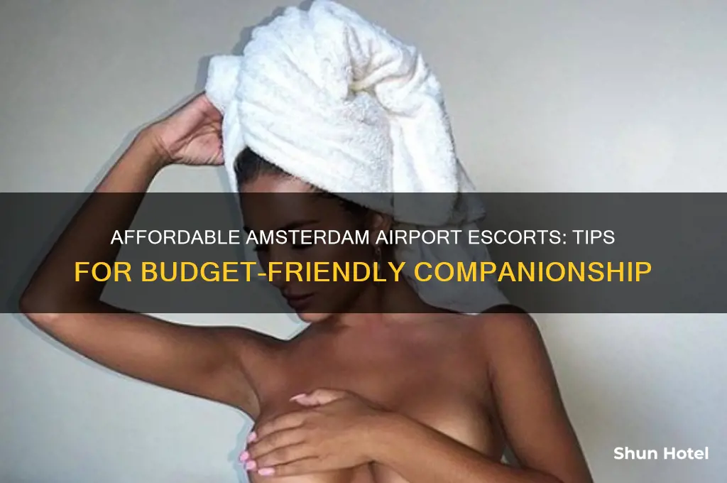 how to get cheap escorts in amsterdam airport