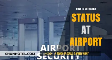 Effortless Airport Security: Tips for a Clear Status Every Time