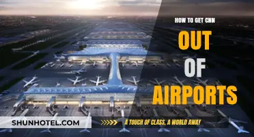 Removing CNN from Airports: Strategies for Alternative News Options