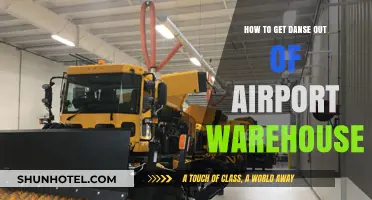 Efficient Strategies to Remove Danse from Airport Warehouses Quickly