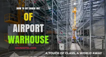 Efficient Strategies to Retrieve Danse from Airport Warehouse Quickly