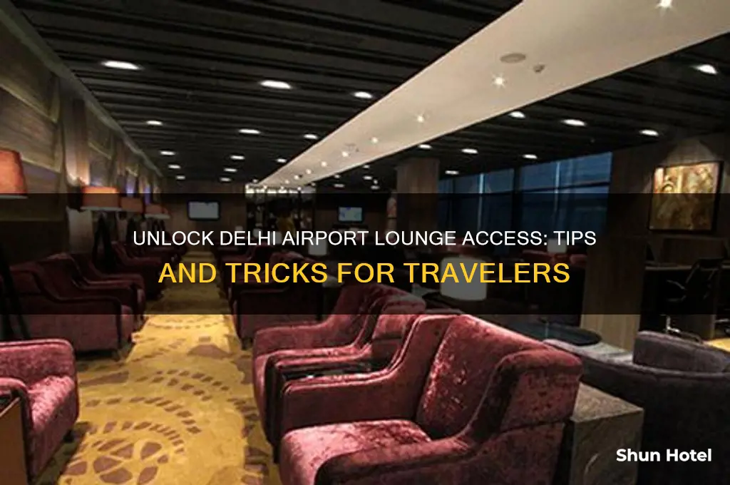 how to get delhi airport lounge access