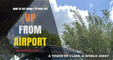 Disney Airport Pick-Up: Tips to Get Magical Transportation to Your Resort