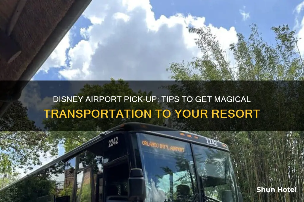 how to get disney to pick you up from airport
