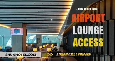 Unlocking Luxury: Your Guide to Dubai Airport Lounge Access