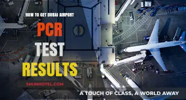 Quick Guide to Accessing Your Dubai Airport PCR Test Results