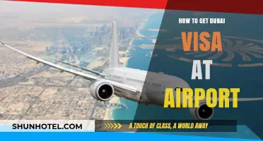 Dubai Visa on Arrival: Your Complete Airport Application Guide