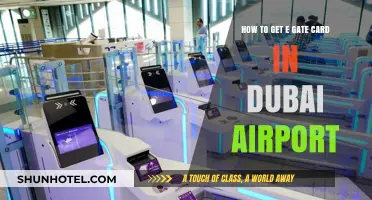 E-Gate Card Guide: Quick Steps for Dubai Airport Travelers
