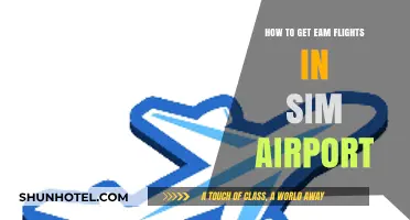 Mastering EAM Flights in Sim Airport: Strategies for Success