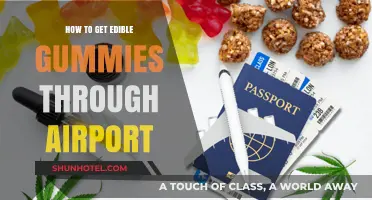 Traveling with Edible Gummies: Tips for Airport Security Success
