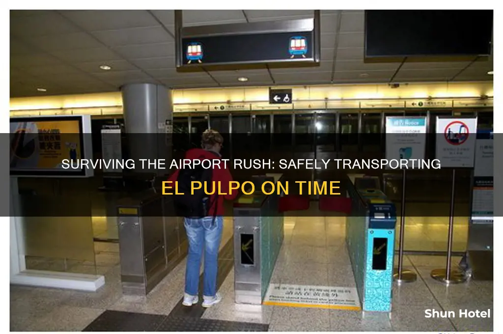 how to get el pulpo to the airport without dying