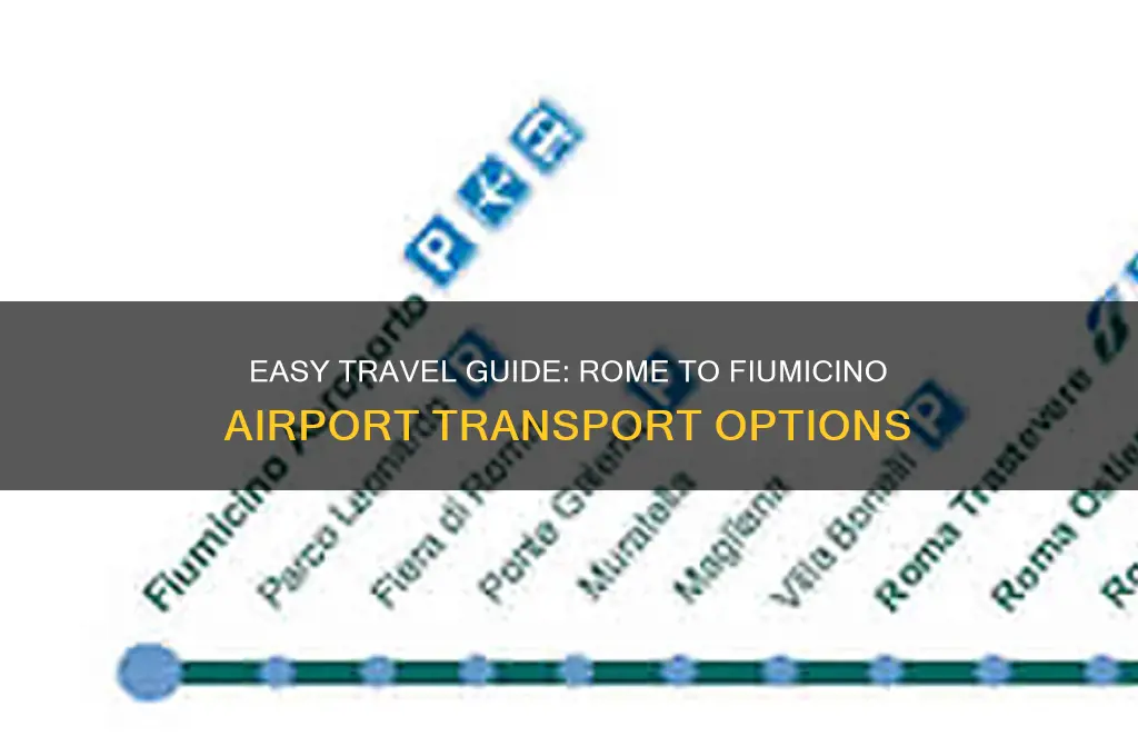 how to get fiumicino airport from rome