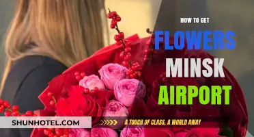 Where to Find Fresh Flowers at Minsk Airport: A Quick Guide