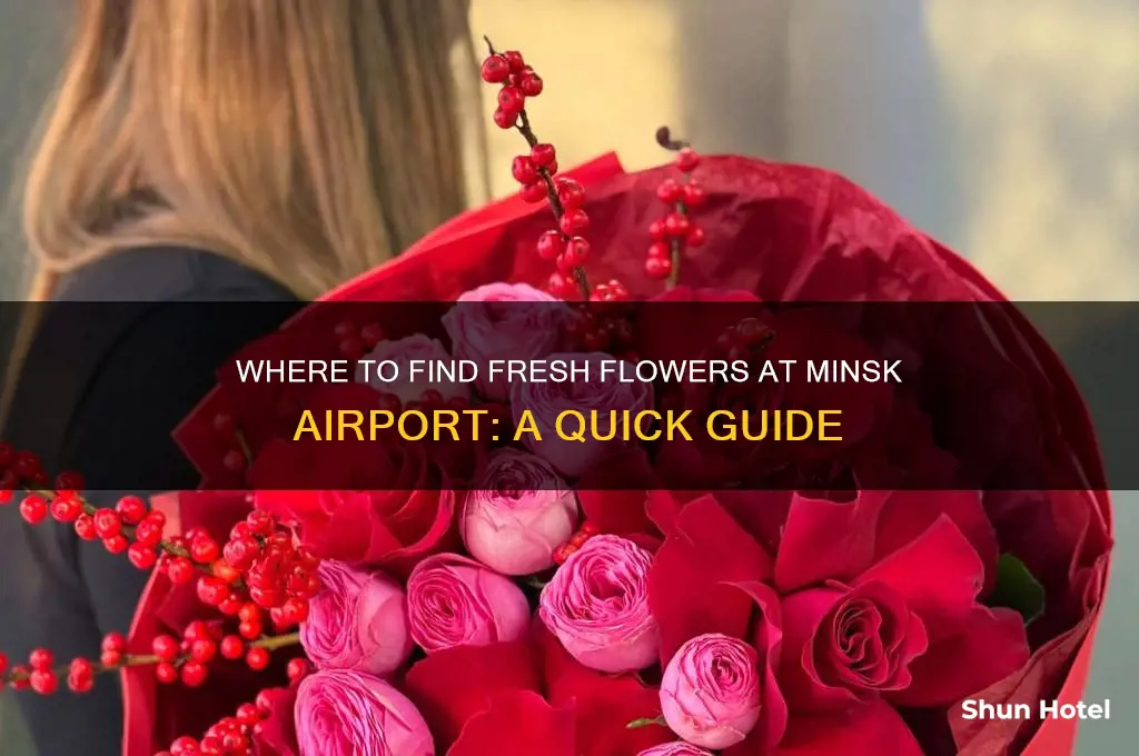 how to get flowers minsk airport