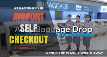 Efficiently Handling Fragile Items at Airport Self-Checkout Kiosks