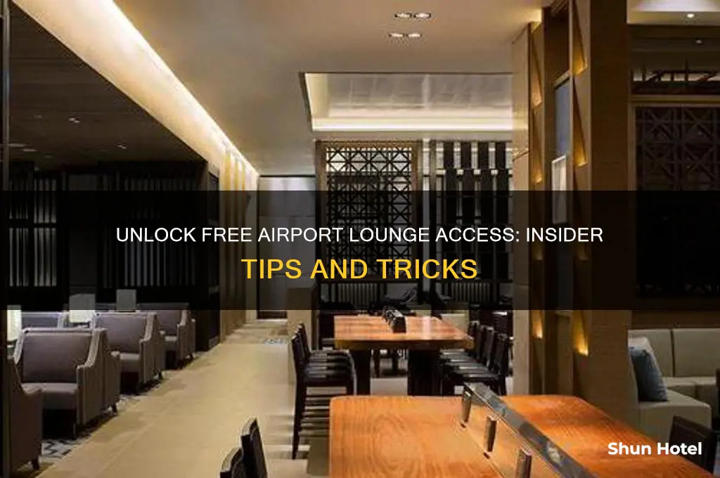 how to get free access to airport luage