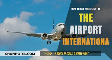 Unlock Free International Flights: Insider Tips for Airport Travelers