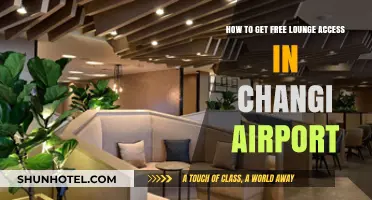 Unlock Free Lounge Access at Changi Airport: Insider Tips & Tricks
