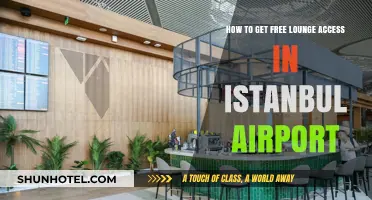 Unlock Istanbul Airport Lounge Access for Free: Insider Tips & Tricks