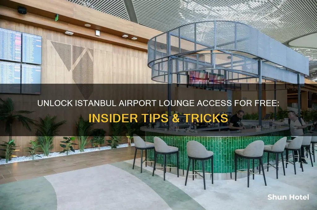 how to get free lounge access in istanbul airport