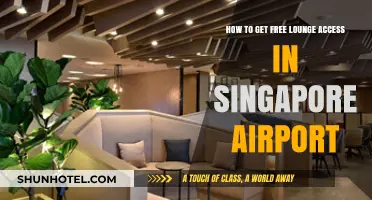 Unlock Free Lounge Access at Singapore Airport: Insider Tips & Tricks