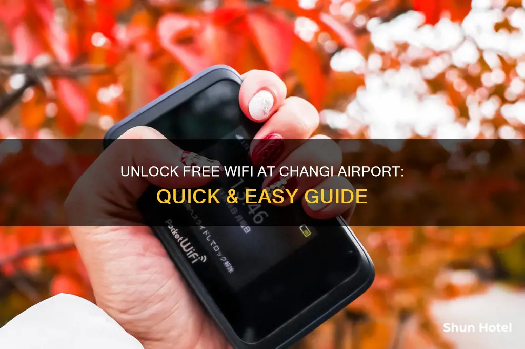 how to get free wifi at changi airport