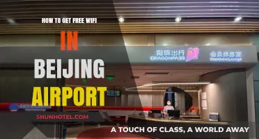 Free WiFi at Beijing Airport: Easy Access Guide for Travelers