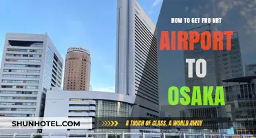 Travel Guide: NRT Airport to Osaka – Easy Transport Options