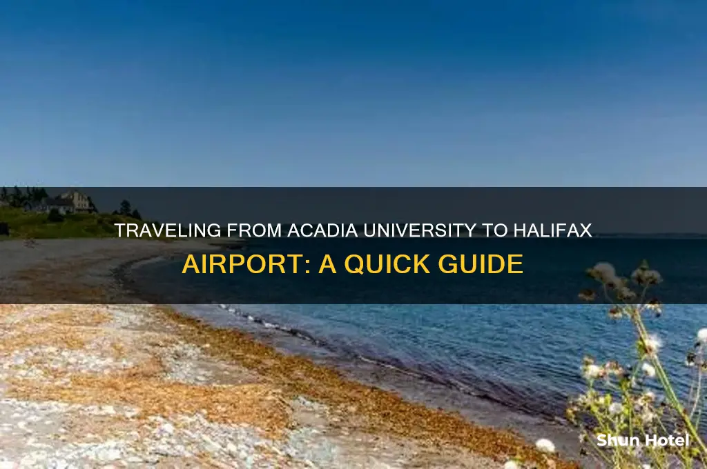 how to get from acadia university to halifax airport