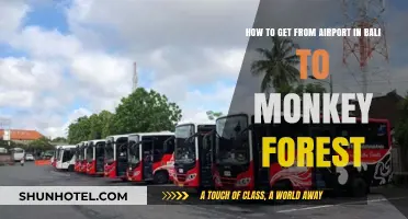 Bali Airport to Monkey Forest: Easy Transport Guide & Tips