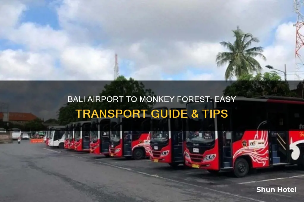 how to get from airport in bali to monkey forest