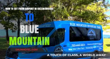 Travel Guide: Collingwood Airport to Blue Mountain Transport Options