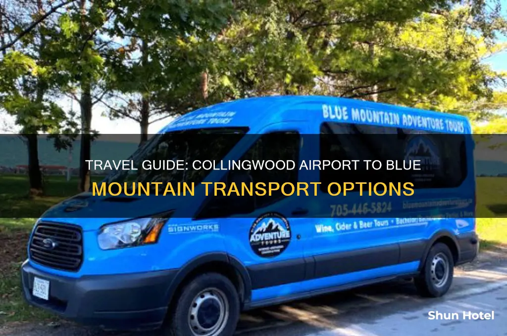how to get from airport in collingwoods to blue mountain