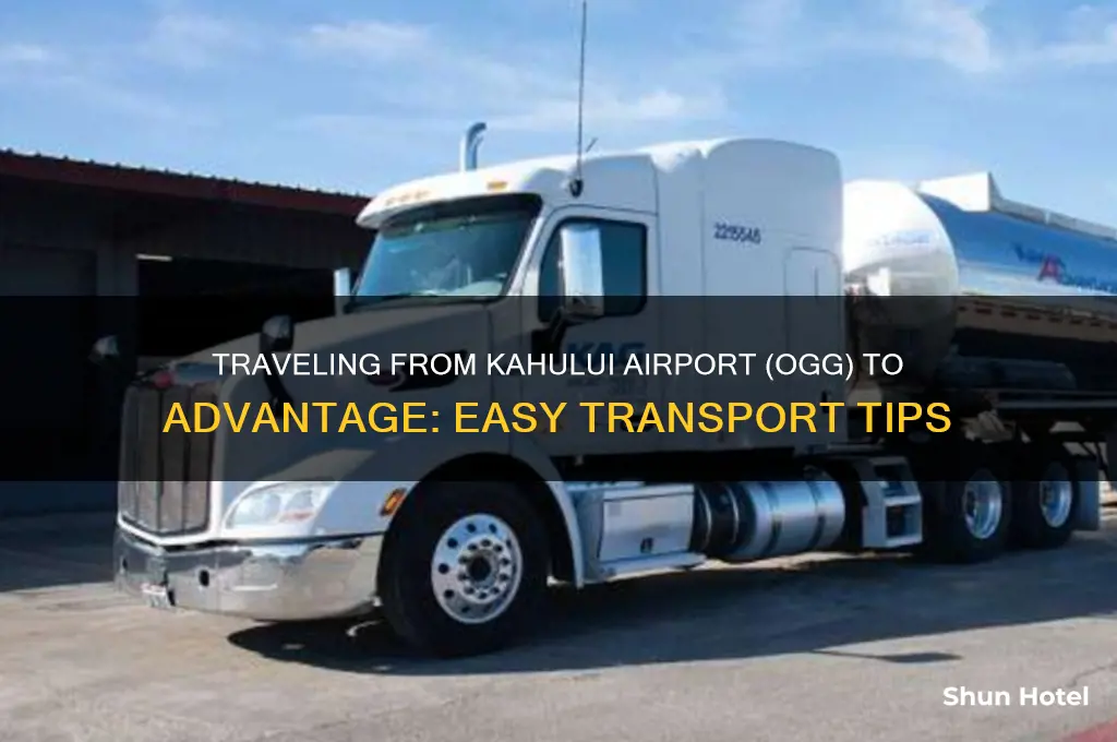 how to get from airport ogg to advantage