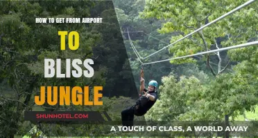 Traveling to Bliss Jungle: Easy Airport to Paradise Transport Guide