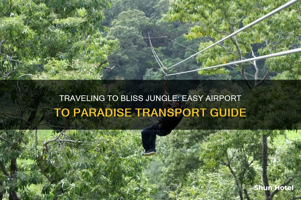 how to get from airport to bliss jungle