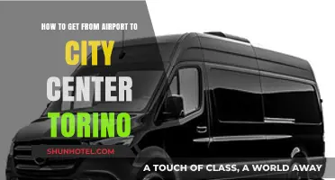 Efficient Travel Tips: Airport to Torino City Center Guide