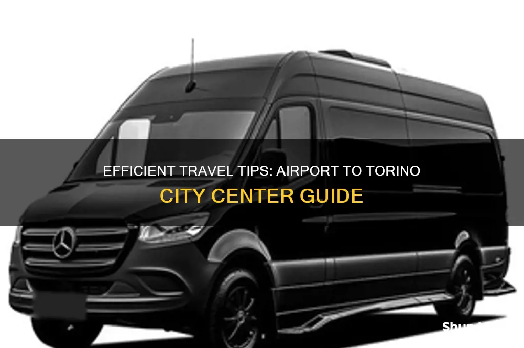 how to get from airport to city center torino